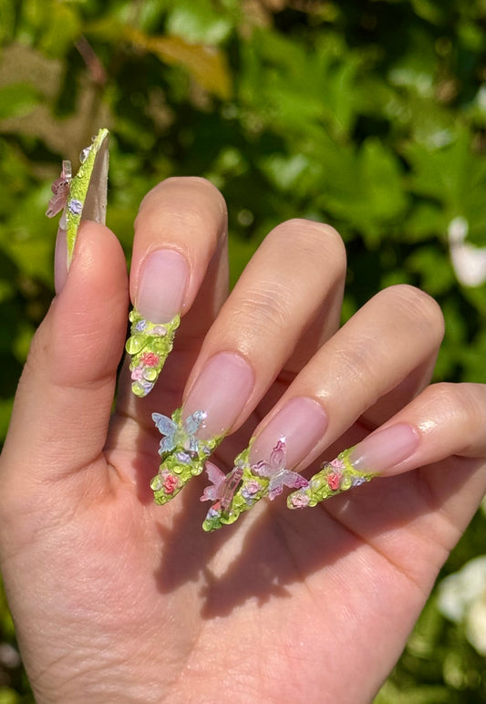 Butterfly Botanica